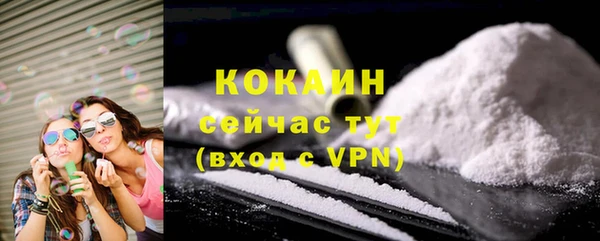 тгк Дмитровск