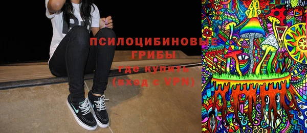 бошки Дмитриев