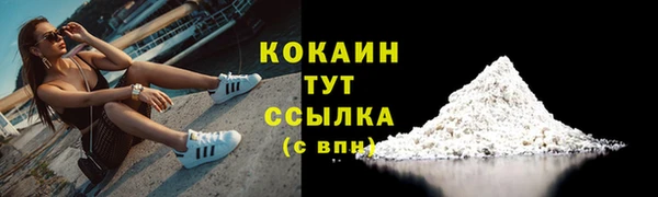 тгк Дмитровск