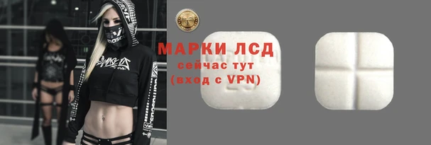 тгк Дмитровск
