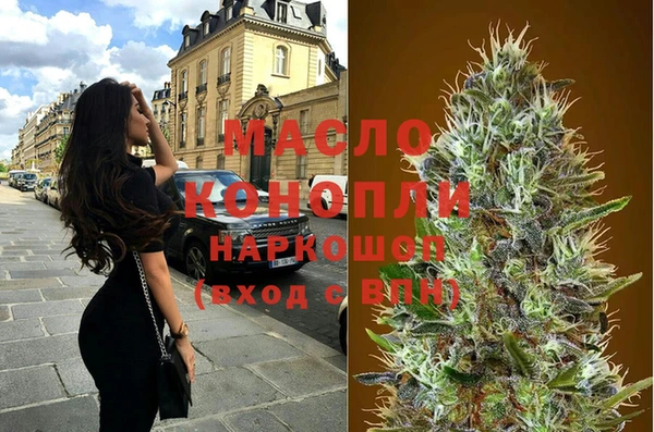 тгк Дмитровск