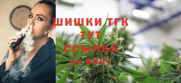 бошки Дмитриев